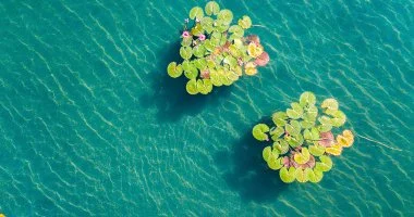 �vind�t� Sz�ll�svad�szat H�v�zen, f�rd�bel�p�vel (min. 2 �j)