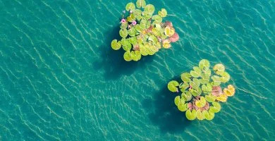  - �vind�t� Sz�ll�svad�szat H�v�zen, f�rd�bel�p�vel