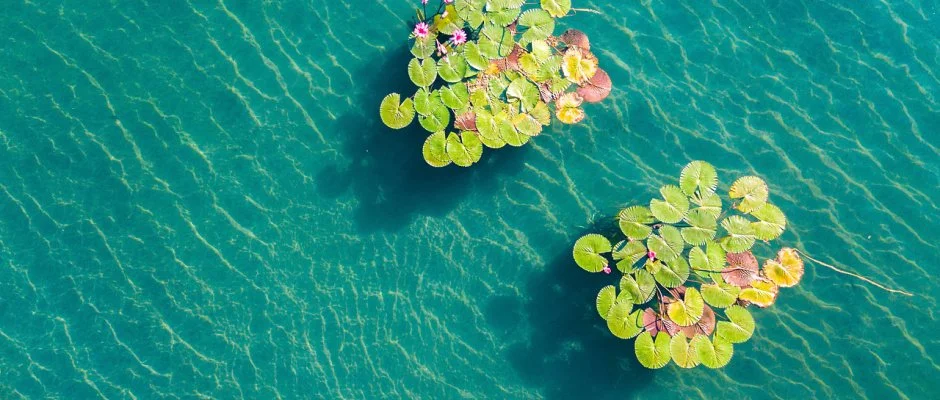 Hunguest Hotel Panorma Hvz