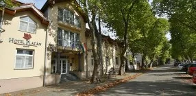 Hotel Plat�n Sz�kesfeh�rv�r - Napi �rak �nell�t�ssal