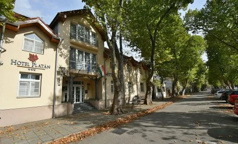 Hotel Platán Székesfehérvár - Napi árak önellátással