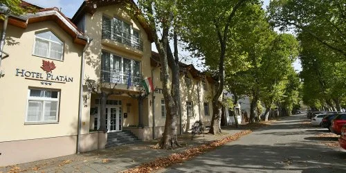 Hotel Platán Székesfehérvár Székesfehérvár