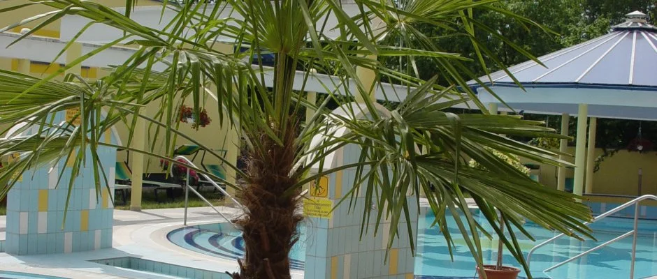 Hotel Rudolf Hajdszoboszl