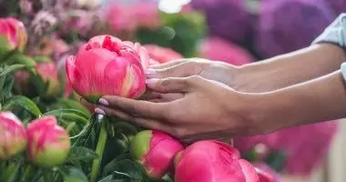 P�nk�sd (min. 2 �j)