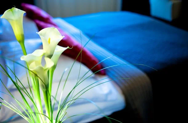 Hotel Stáció Wellness & Konferencia Vecsés Hotel Stáció Wellness & Konferencia Vecsés