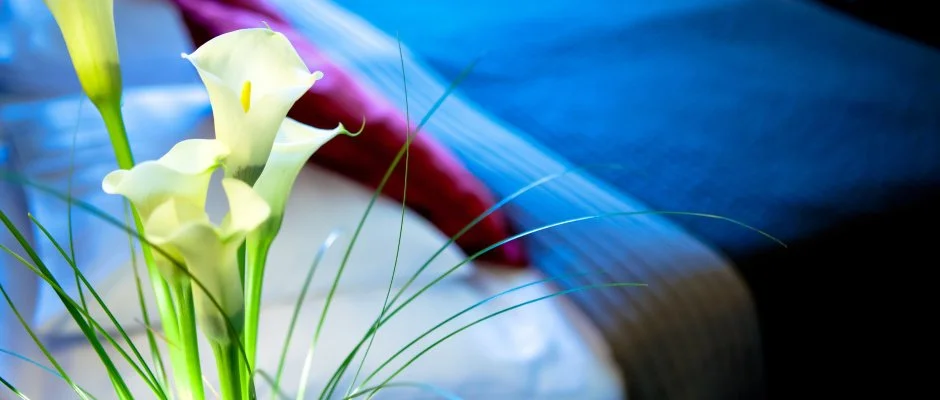 Hotel Stci Wellness & Konferencia Vecss