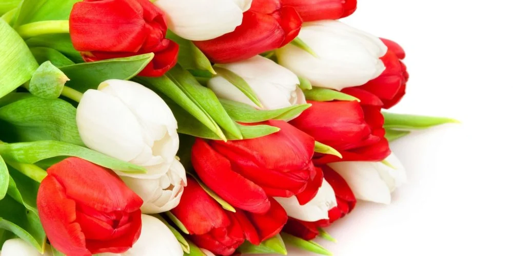 Hotel St�ci� Vecs�s