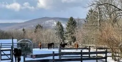 Htvgk a Bakonyban (min. 2 j)