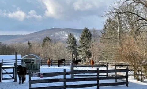 Hotel Szépalma Porva-Szépalmapuszta - Hétvégék a Bakonyban