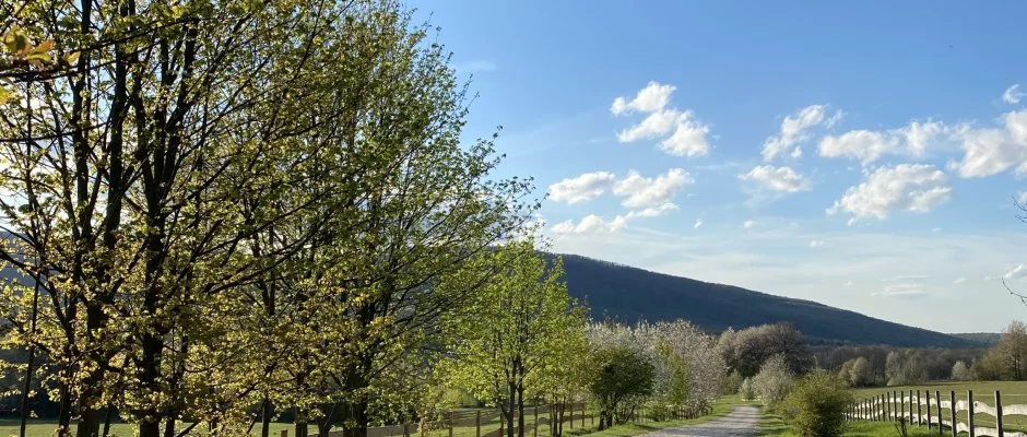 Hotel Szpalma Porva-Szpalmapuszta