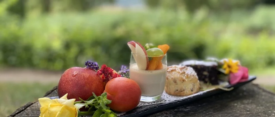 Hotel Szpalma Porva-Szpalmapuszta