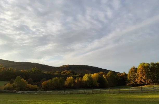 Hotel Sz�palma Porva-Sz�palmapuszta