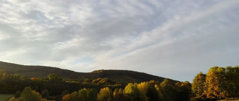 Hotel Sz�palma Porva-Sz�palmapuszta