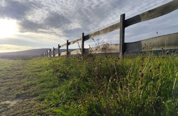 Hotel Sz�palma Porva-Sz�palmapuszta