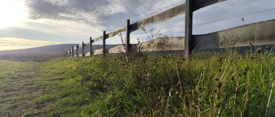 Hotel Sz�palma Porva-Sz�palmapuszta