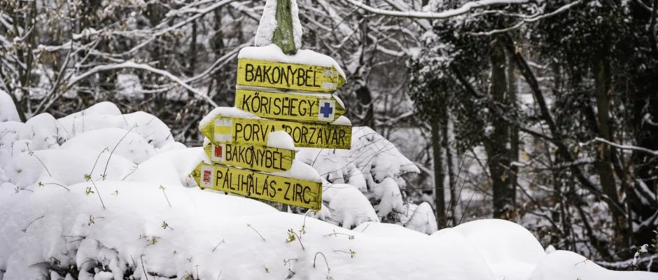 Hotel Sz�palma Porva-Sz�palmapuszta