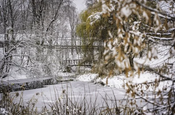 Hotel Sz�palma Porva-Sz�palmapuszta