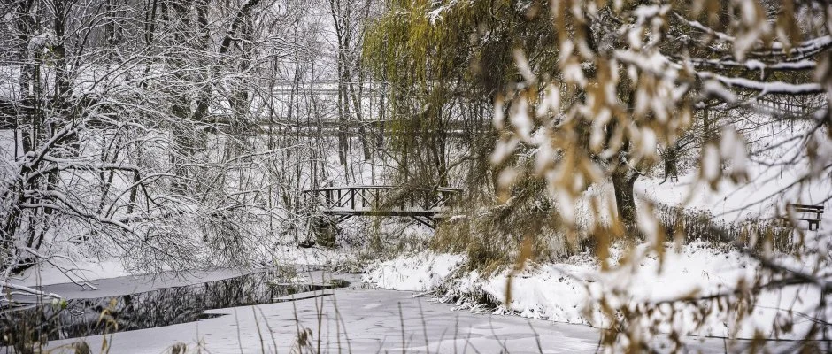 Hotel Sz�palma Porva-Sz�palmapuszta