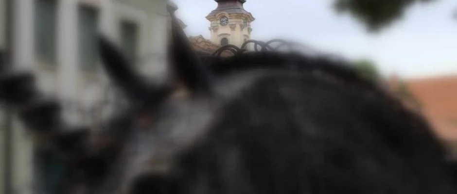 Hotel Unicornis Eger