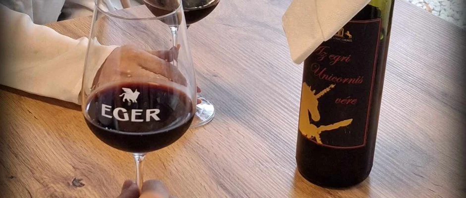 Hotel Unicornis Eger