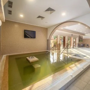 Termál Hotel Vesta Tápiószecső - Kikapcsolódás félpanziós ellátással (1 éjtől)