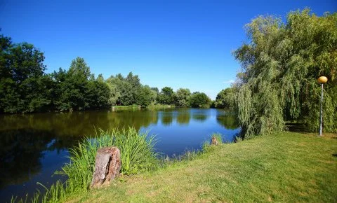 Termál Hotel Vesta Tápiószecső - Október 23.