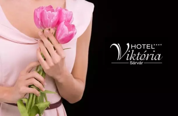 Hotel Viktória Sárvár Hotel Viktória Sárvár