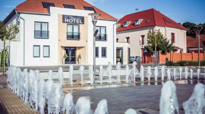 Hotel Viktria Srvr