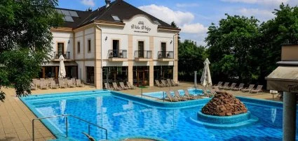Hotel Villa Vlgy Eger - Hsvti csomagok