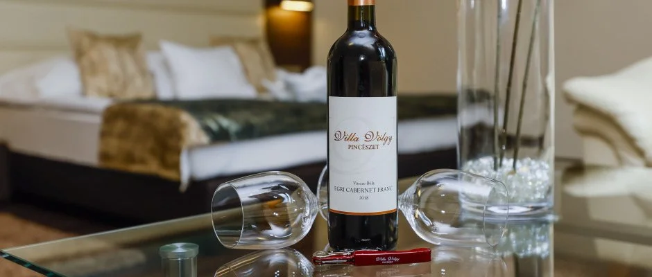 Hotel Villa Vlgy Eger