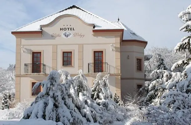 Hotel Villa Vlgy Eger