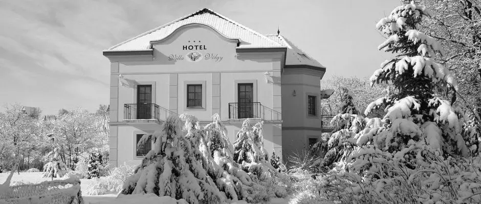 Hotel Villa Vlgy Eger