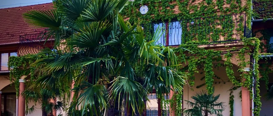 Hotel Vinum Wellness s Konferencia Hotel Kiskrs