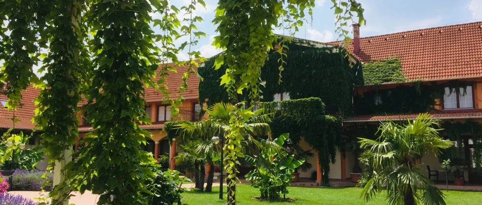 Hotel Vinum Wellness s Konferencia Hotel Kiskrs