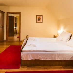 Hotel Vinum Wellness és Konferencia Hotel Kiskőrös - Augusztus 20. - teljes előrefizetéssel