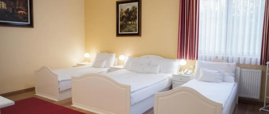 Hotel Vinum Wellness s Konferencia Hotel Kiskrs