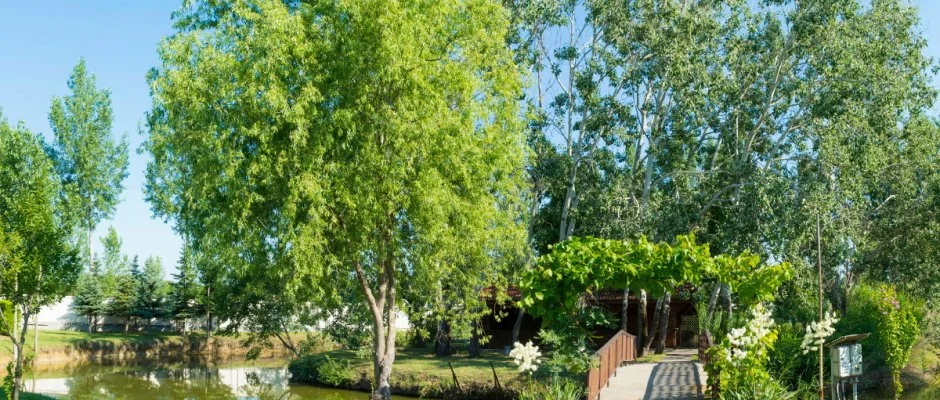 Hotel Vinum Wellness s Konferencia Hotel Kiskrs