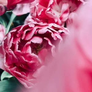  Zalakaros - Pünkösd