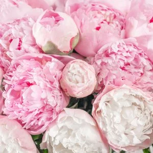 Hotel Yacht Wellness & Business Siófok - Pünkösd (min. 3 éj)