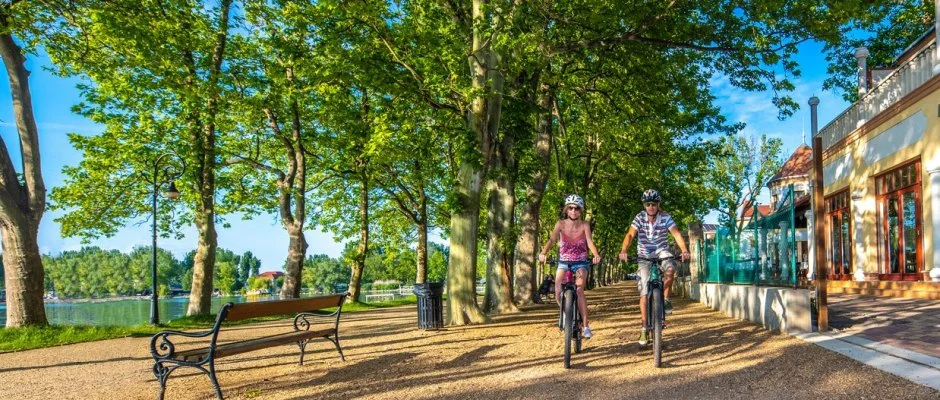 Hotel Anna Villa Balatonfldvr