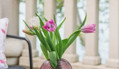 Hotel Anna Villa Balatonfldvr