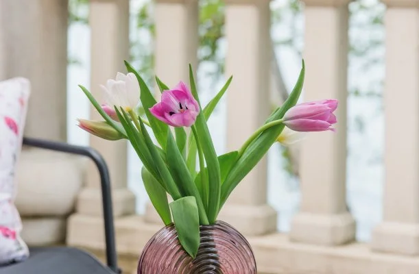 Hotel Anna Villa Balatonföldvár