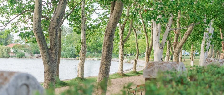 Hotel Anna Villa Balatonfldvr