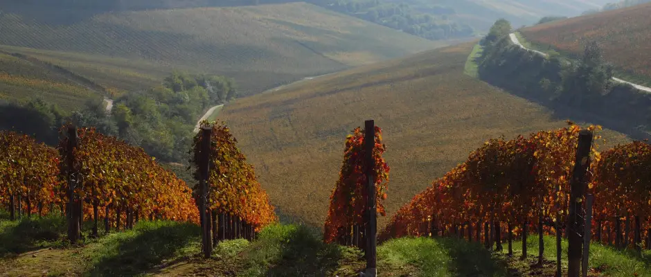 Villányi borvidék - a Ametiszt Hotel ajánlásával