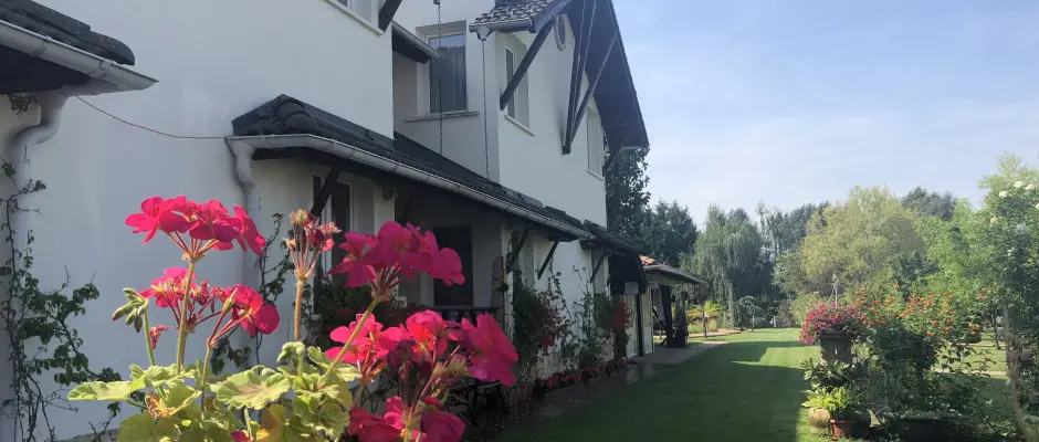 Park - a Bagolyvr Inrcs ajnlsval