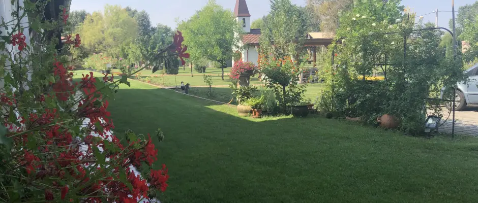 Park - a Bagolyvr Inrcs ajnlsval