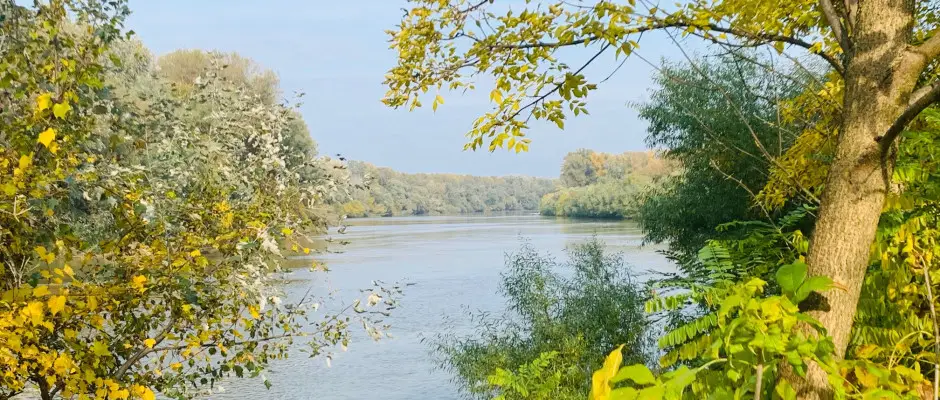 Tisza - a Barack Thermal Apartmanok ajnlsval