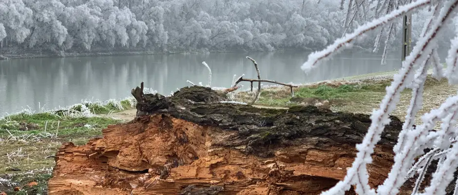 Tisza part - a Barack Thermal Apartmanok ajnlsval