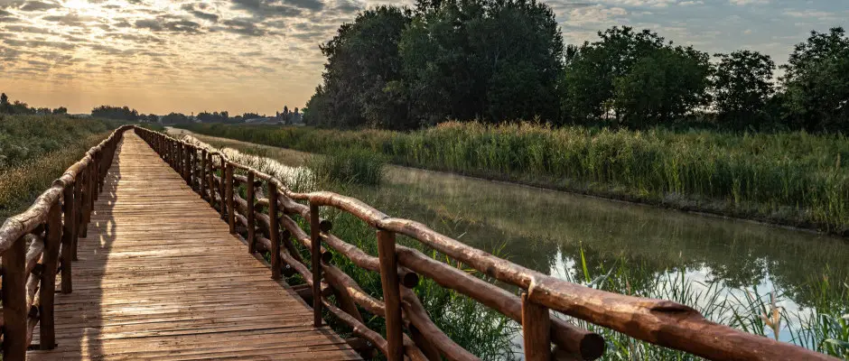 Ndirig tansvny - a Barack Thermal Apartmanok ajnlsval