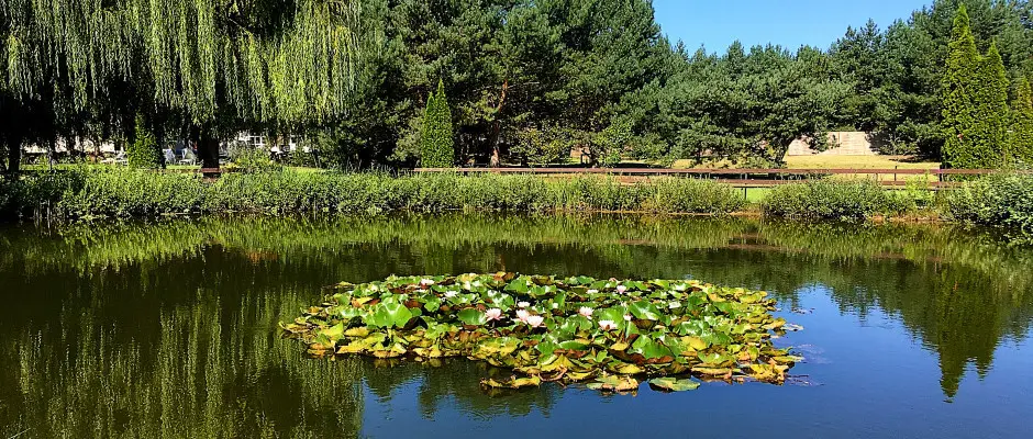 Kerti t - a Bodrogi Kria ajnlsval